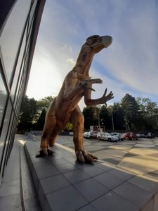 Lire la suite à propos de l’article A la découverte des dinosaures …