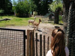 Lire la suite à propos de l’article Découverte de la petite ferme du parc Maximilien