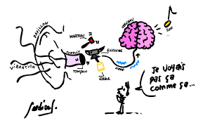 Lire la suite à propos de l’article Le son – Atelier scientifique