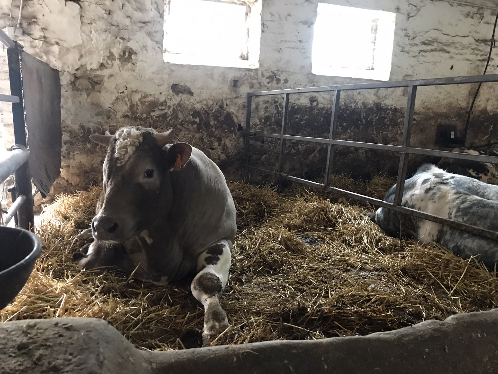 Tous à la ferme!